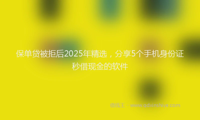 保单贷被拒后2025年精选，分享5个手机身份证秒借现金的软件