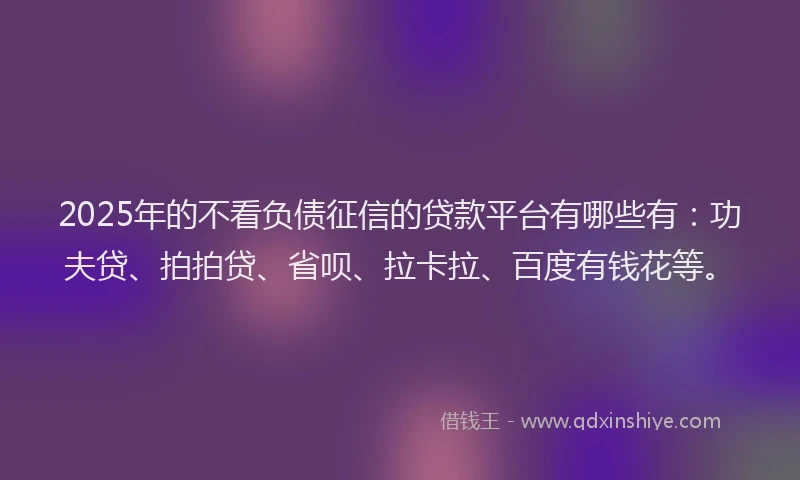 2025年的不看负债征信的贷款平台有哪些有：功夫贷、拍拍贷、省呗、拉卡拉、百度有钱花等。