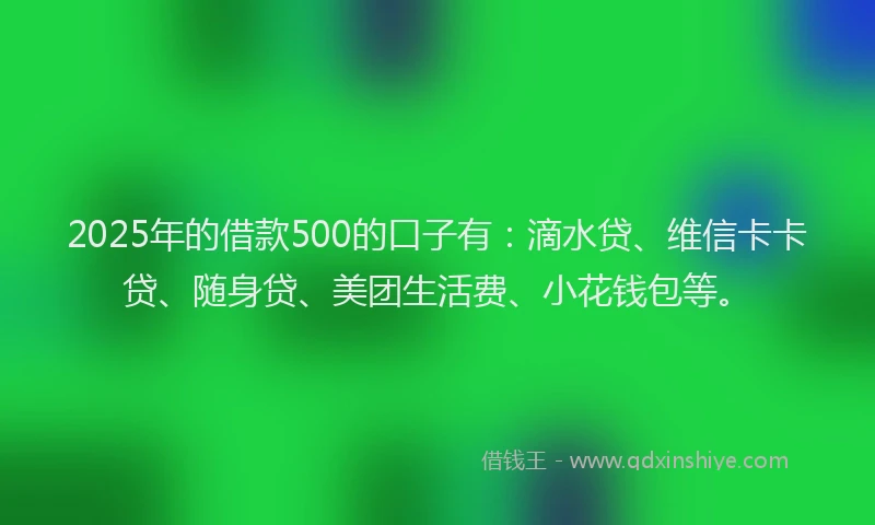2025年的借款500的口子有：滴水贷、维信卡卡贷、随身贷、美团生活费、小花钱包等。