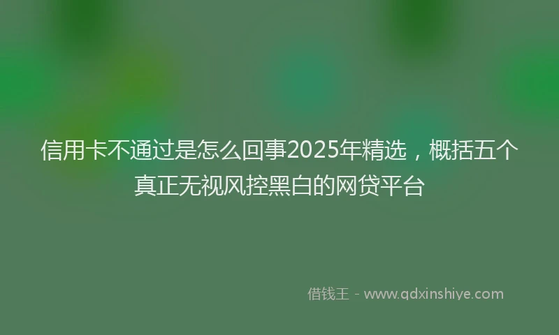 信用卡不通过是怎么回事2025年精选，概括五个真正无视风控黑白的网贷平台