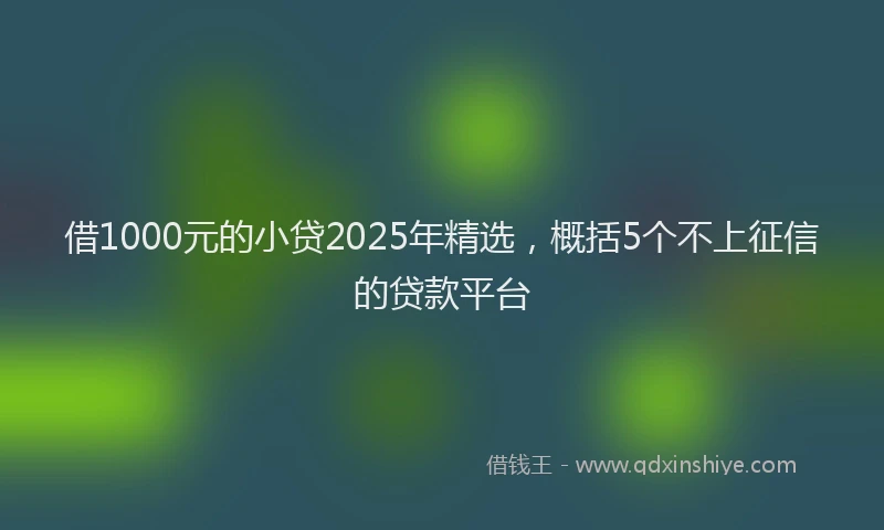 借1000元的小贷2025年精选，概括5个不上征信的贷款平台