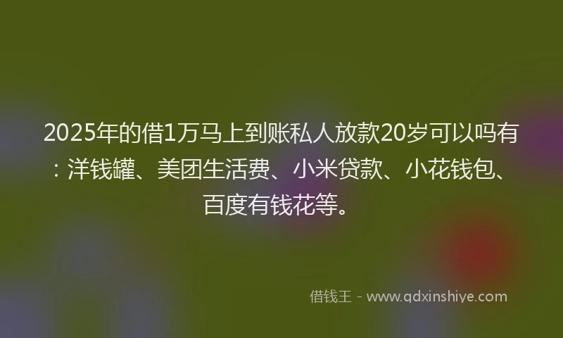 2025年的借1万马上到账私人放款20岁可以吗有：洋钱罐、美团生活费、小米贷款、小花钱包、百度有钱花等。
