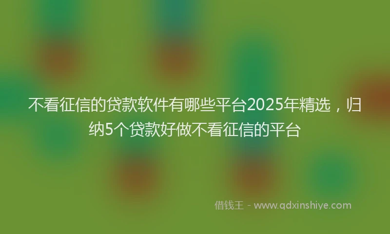 不看征信的贷款软件有哪些平台2025年精选，归纳5个贷款好做不看征信的平台