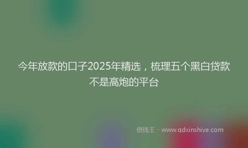今年放款的口子2025年精选，梳理五个黑白贷款不是高炮的平台