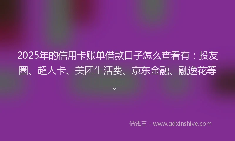 2025年的信用卡账单借款口子怎么查看有：投友圈、超人卡、美团生活费、京东金融、融逸花等。