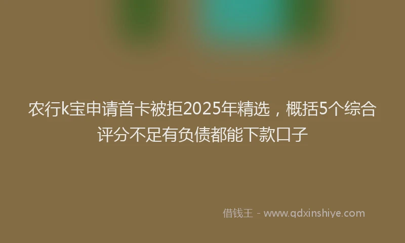 农行k宝申请首卡被拒2025年精选，概括5个综合评分不足有负债都能下款口子