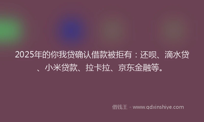 2025年的你我贷确认借款被拒有：还呗、滴水贷、小米贷款、拉卡拉、京东金融等。