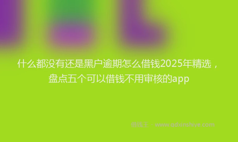 什么都没有还是黑户逾期怎么借钱2025年精选，盘点五个可以借钱不用审核的app
