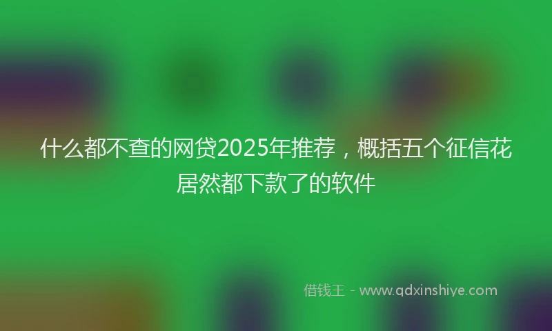 什么都不查的网贷2025年推荐，概括五个征信花居然都下款了的软件