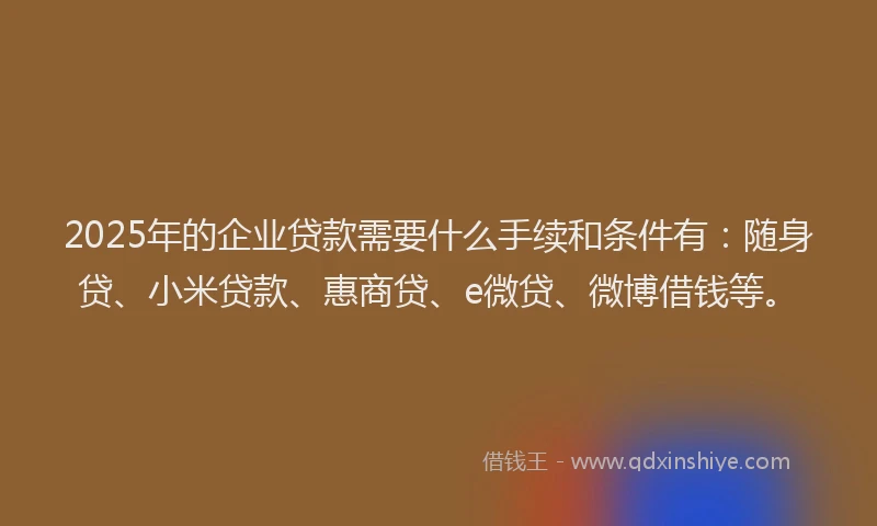 2025年的企业贷款需要什么手续和条件有：随身贷、小米贷款、惠商贷、e微贷、微博借钱等。