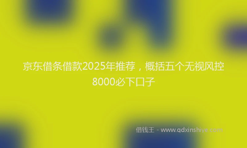京东借条借款2025年推荐，概括五个无视风控8000必下口子