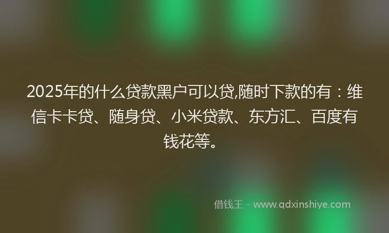 2025年的什么贷款黑户可以贷,随时下款的有：维信卡卡贷、随身贷、小米贷款、东方汇、百度有钱花等。
