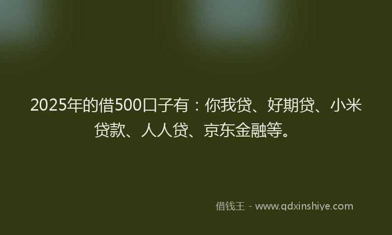 2025年的借500口子有：你我贷、好期贷、小米贷款、人人贷、京东金融等。