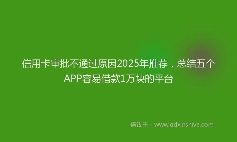 信用卡审批不通过原因2025年推荐，总结五个APP容易借款1万块的平台