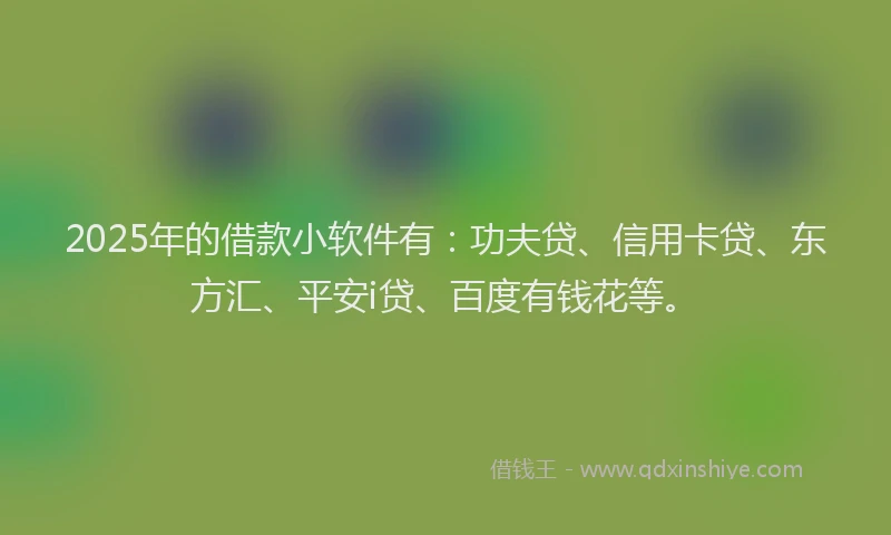 2025年的借款小软件有：功夫贷、信用卡贷、东方汇、平安i贷、百度有钱花等。