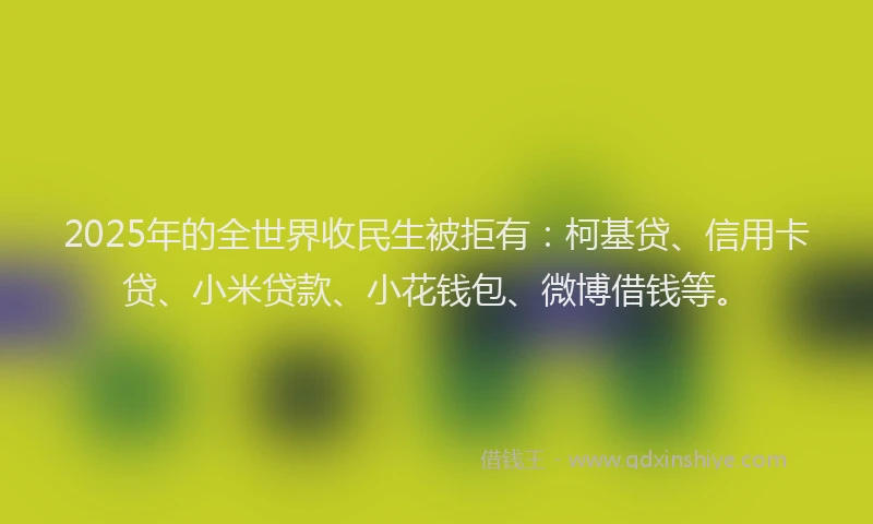 2025年的全世界收民生被拒有：柯基贷、信用卡贷、小米贷款、小花钱包、微博借钱等。