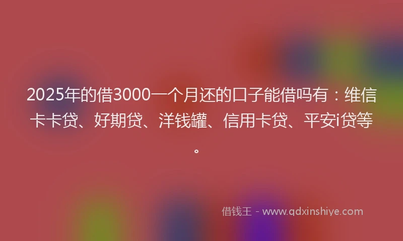 2025年的借3000一个月还的口子能借吗有：维信卡卡贷、好期贷、洋钱罐、信用卡贷、平安i贷等。
