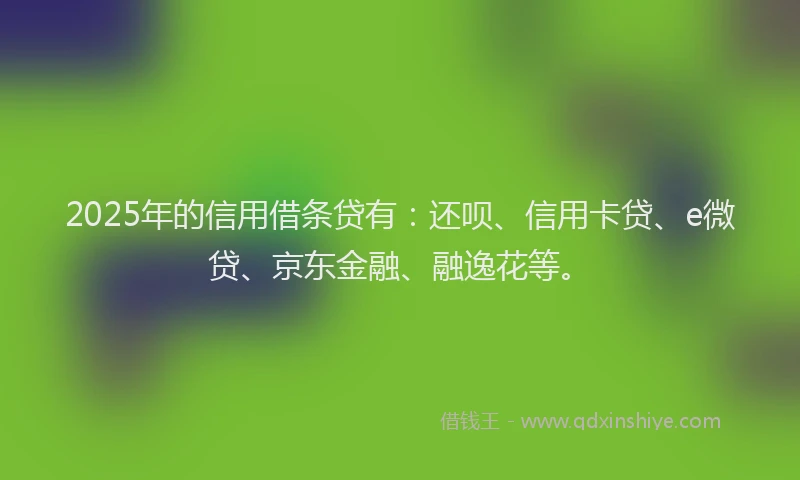 2025年的信用借条贷有：还呗、信用卡贷、e微贷、京东金融、融逸花等。