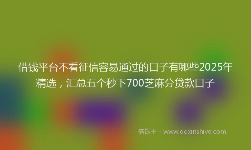 借钱平台不看征信容易通过的口子有哪些2025年精选，汇总五个秒下700芝麻分贷款口子