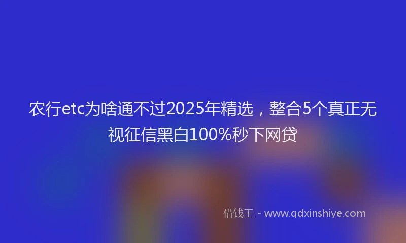农行etc为啥通不过2025年精选，整合5个真正无视征信黑白100%秒下网贷