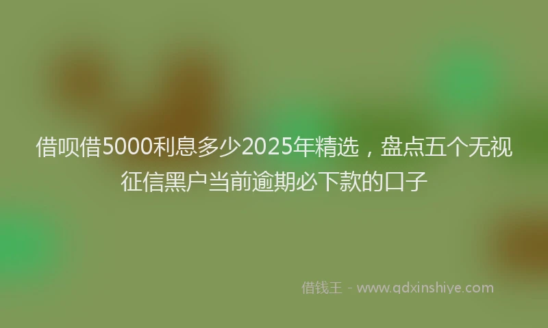 借呗借5000利息多少2025年精选，盘点五个无视征信黑户当前逾期必下款的口子