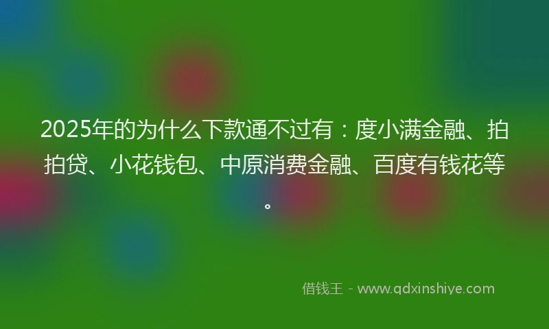 2025年的为什么下款通不过有：度小满金融、拍拍贷、小花钱包、中原消费金融、百度有钱花等。