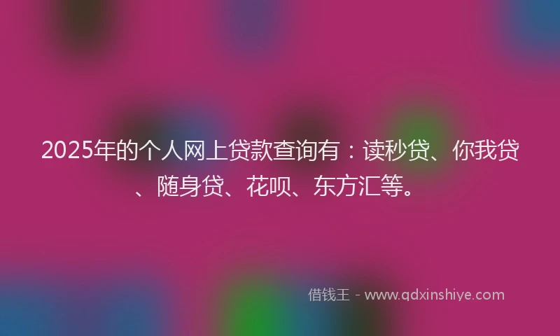 2025年的个人网上贷款查询有：读秒贷、你我贷、随身贷、花呗、东方汇等。