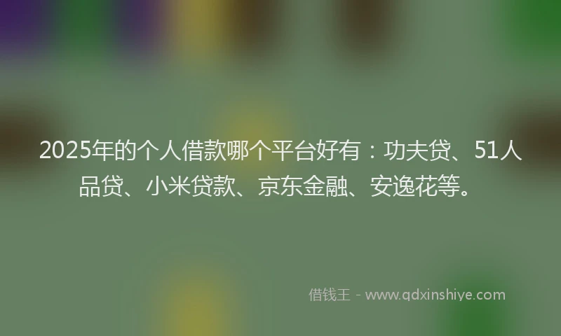 2025年的个人借款哪个平台好有：功夫贷、51人品贷、小米贷款、京东金融、安逸花等。