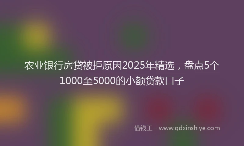 农业银行房贷被拒原因2025年精选，盘点5个1000至5000的小额贷款口子
