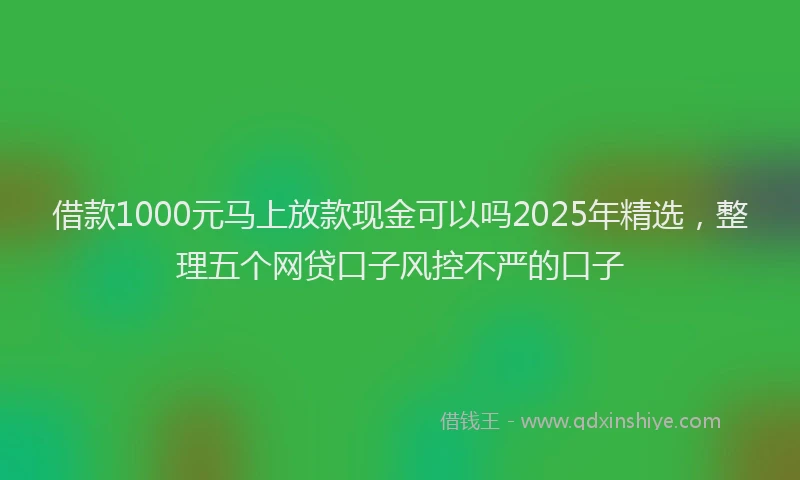 借款1000元马上放款现金可以吗2025年精选，整理五个网贷口子风控不严的口子