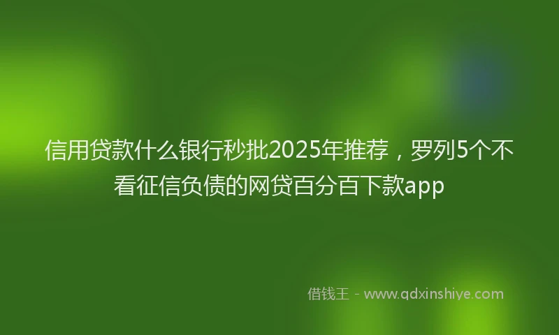 信用贷款什么银行秒批2025年推荐，罗列5个不看征信负债的网贷百分百下款app