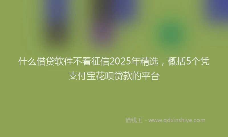 什么借贷软件不看征信2025年精选，概括5个凭支付宝花呗贷款的平台
