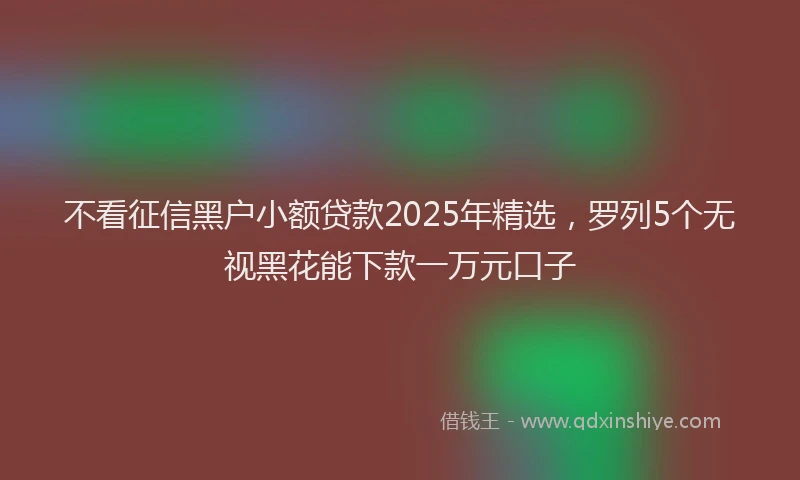 不看征信黑户小额贷款2025年精选，罗列5个无视黑花能下款一万元口子