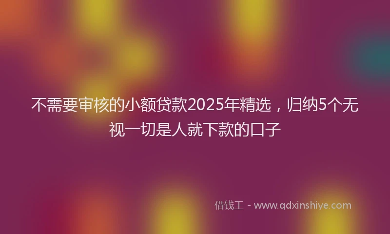 不需要审核的小额贷款2025年精选，归纳5个无视一切是人就下款的口子