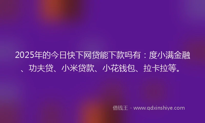 2025年的今日快下网贷能下款吗有：度小满金融、功夫贷、小米贷款、小花钱包、拉卡拉等。