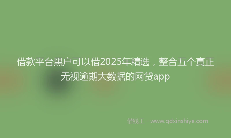 借款平台黑户可以借2025年精选，整合五个真正无视逾期大数据的网贷app