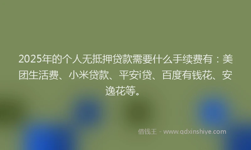 2025年的个人无抵押贷款需要什么手续费有：美团生活费、小米贷款、平安i贷、百度有钱花、安逸花等。