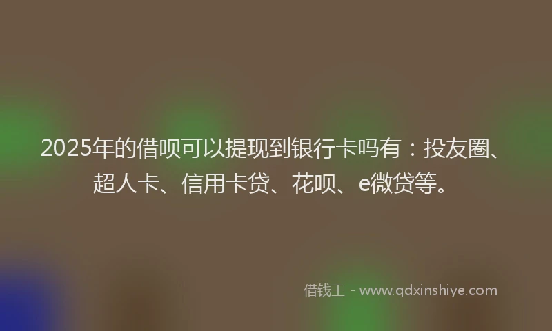 2025年的借呗可以提现到银行卡吗有：投友圈、超人卡、信用卡贷、花呗、e微贷等。