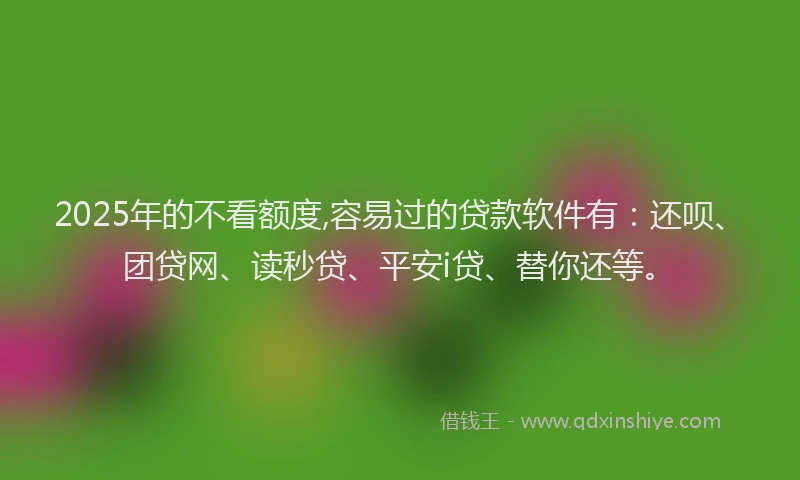 2025年的不看额度,容易过的贷款软件有：还呗、团贷网、读秒贷、平安i贷、替你还等。