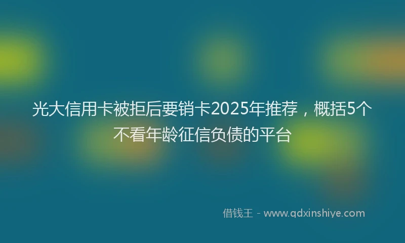 光大信用卡被拒后要销卡2025年推荐，概括5个不看年龄征信负债的平台