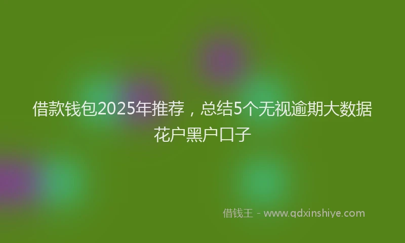 借款钱包2025年推荐，总结5个无视逾期大数据花户黑户口子