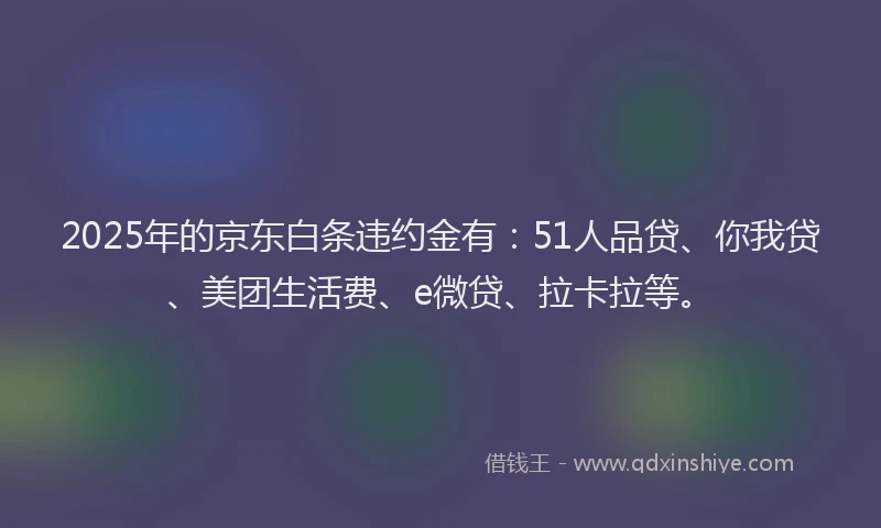 2025年的京东白条违约金有：51人品贷、你我贷、美团生活费、e微贷、拉卡拉等。