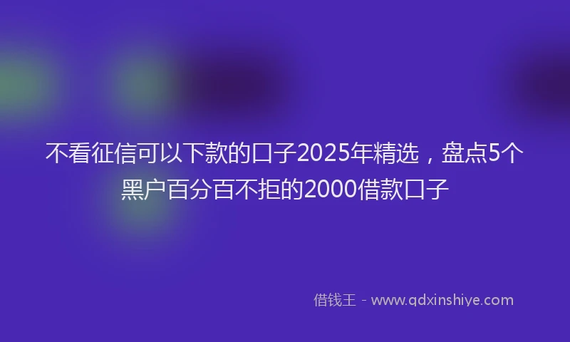 不看征信可以下款的口子2025年精选，盘点5个黑户百分百不拒的2000借款口子