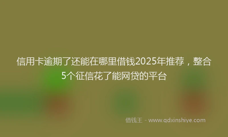 信用卡逾期了还能在哪里借钱2025年推荐，整合5个征信花了能网贷的平台