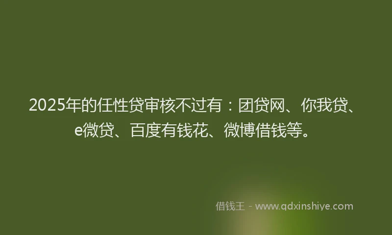 2025年的任性贷审核不过有：团贷网、你我贷、e微贷、百度有钱花、微博借钱等。