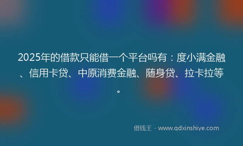 2025年的借款只能借一个平台吗有：度小满金融、信用卡贷、中原消费金融、随身贷、拉卡拉等。