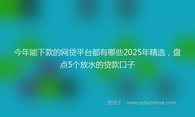今年能下款的网贷平台都有哪些2025年精选，盘点5个放水的贷款口子