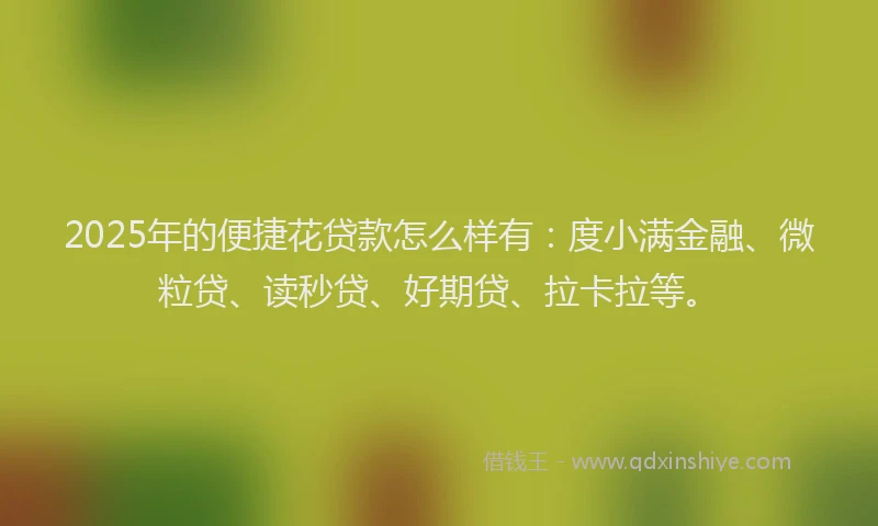 2025年的便捷花贷款怎么样有：度小满金融、微粒贷、读秒贷、好期贷、拉卡拉等。