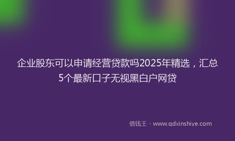 企业股东可以申请经营贷款吗2025年精选，汇总5个最新口子无视黑白户网贷