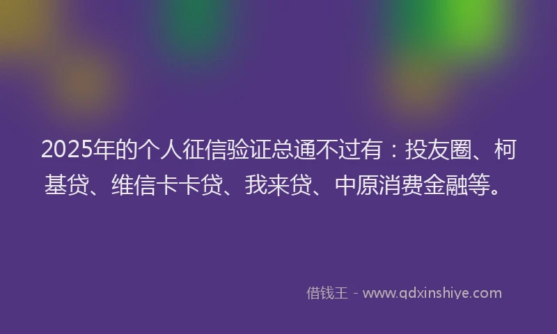 2025年的个人征信验证总通不过有：投友圈、柯基贷、维信卡卡贷、我来贷、中原消费金融等。